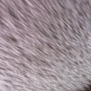 Meet your Posher, Ms